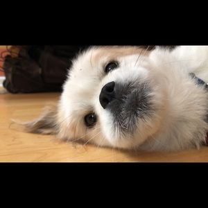 Meet your Posher, Jenny